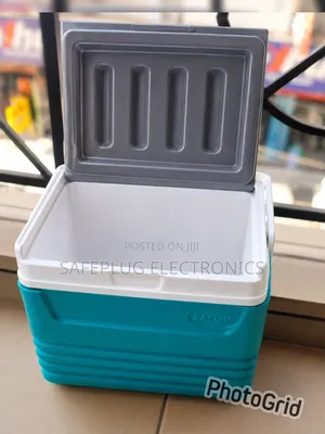 Durable 4.5 Litre Cooler for Travel Picnics
