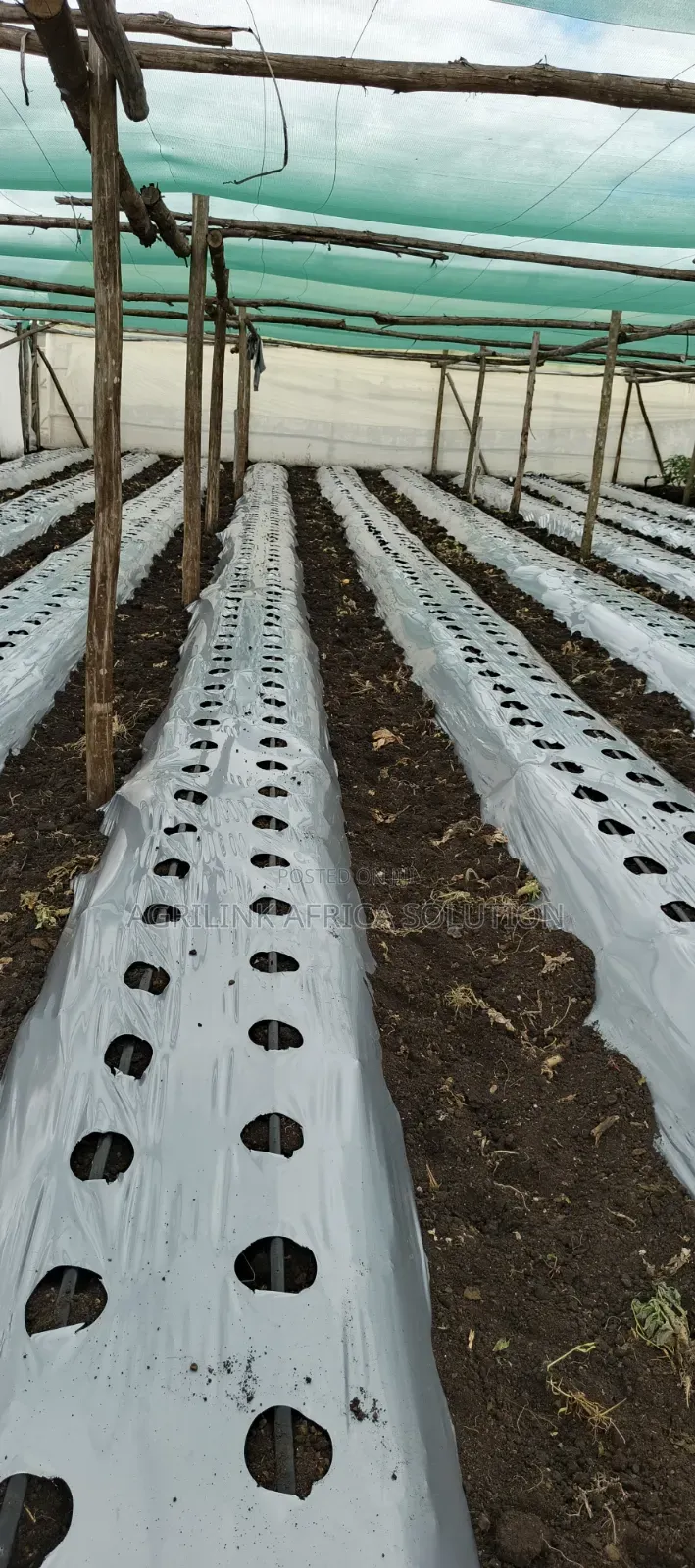 Mulching Installation and Supply