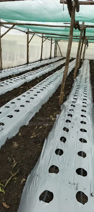 Mulching Installation and Supply