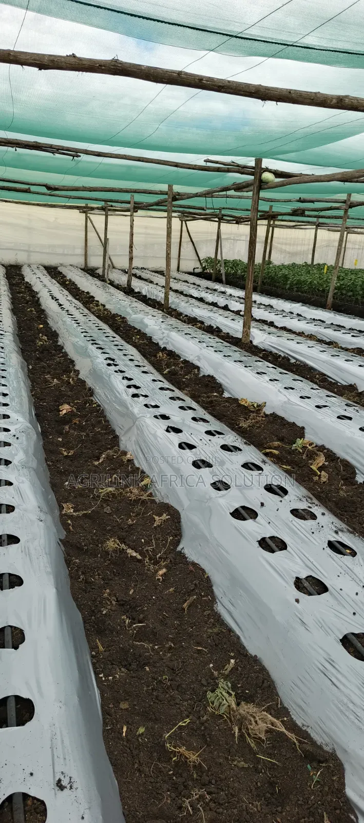 Mulching Installation and Supply