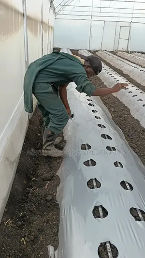 Mulching Installation and Supply