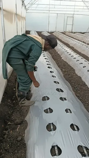 Mulching Installation and Supply