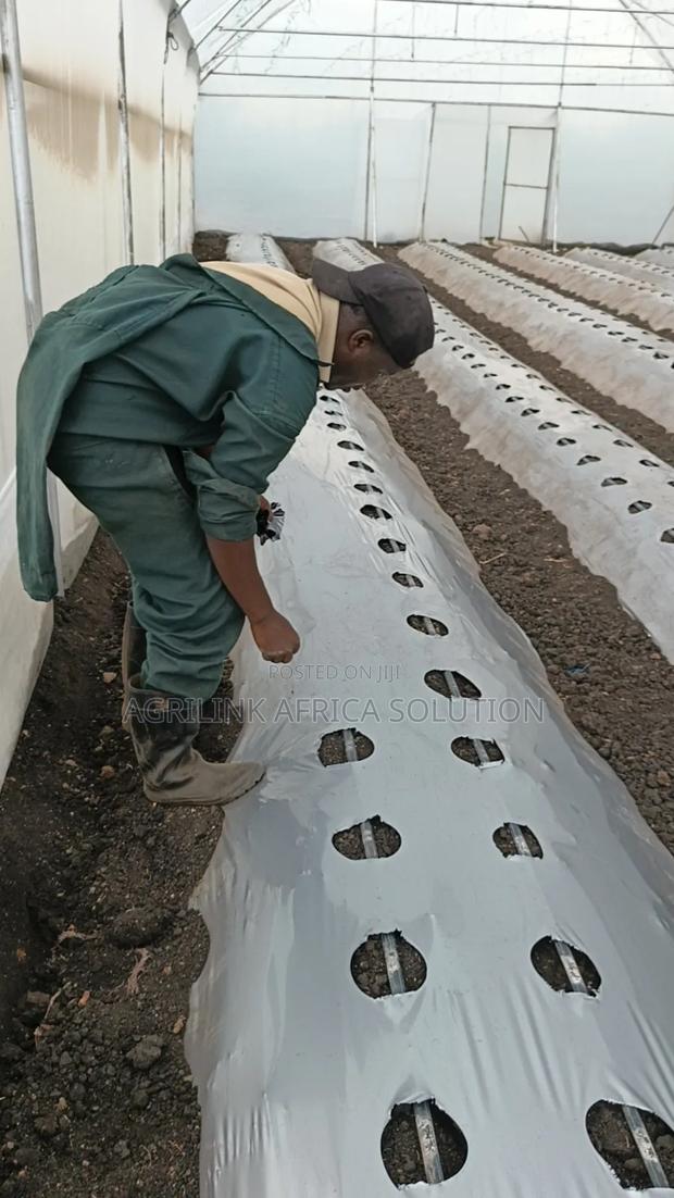 Mulching Installation and Supply - thumbnail 5