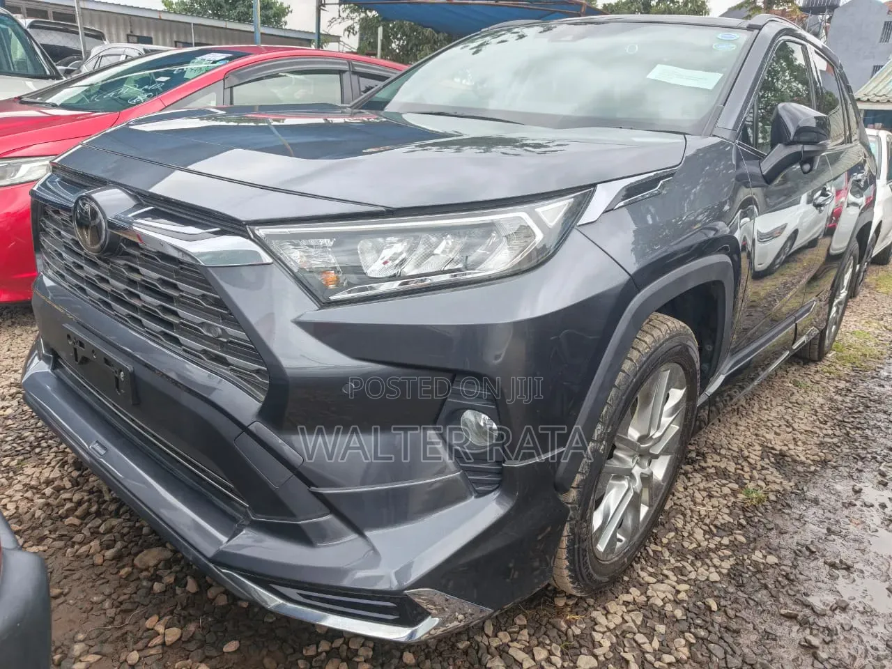 Toyota RAV4 2019 Gray