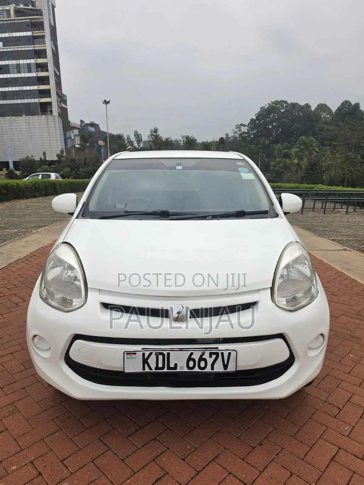 Toyota Passo 2016 White