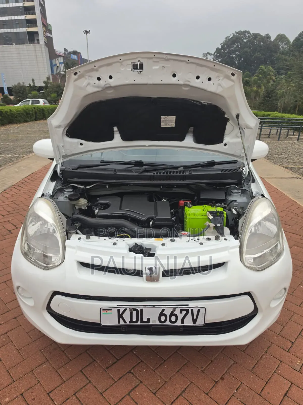 Toyota Passo 2016 White