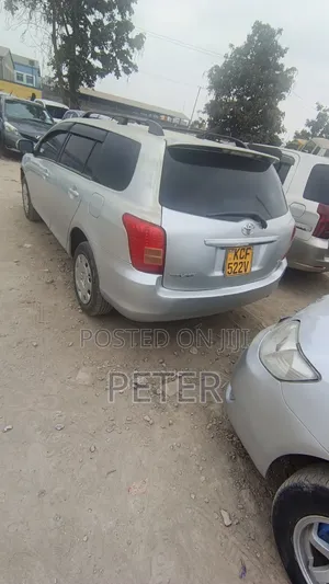 Toyota Corolla Fielder 2009 Silver