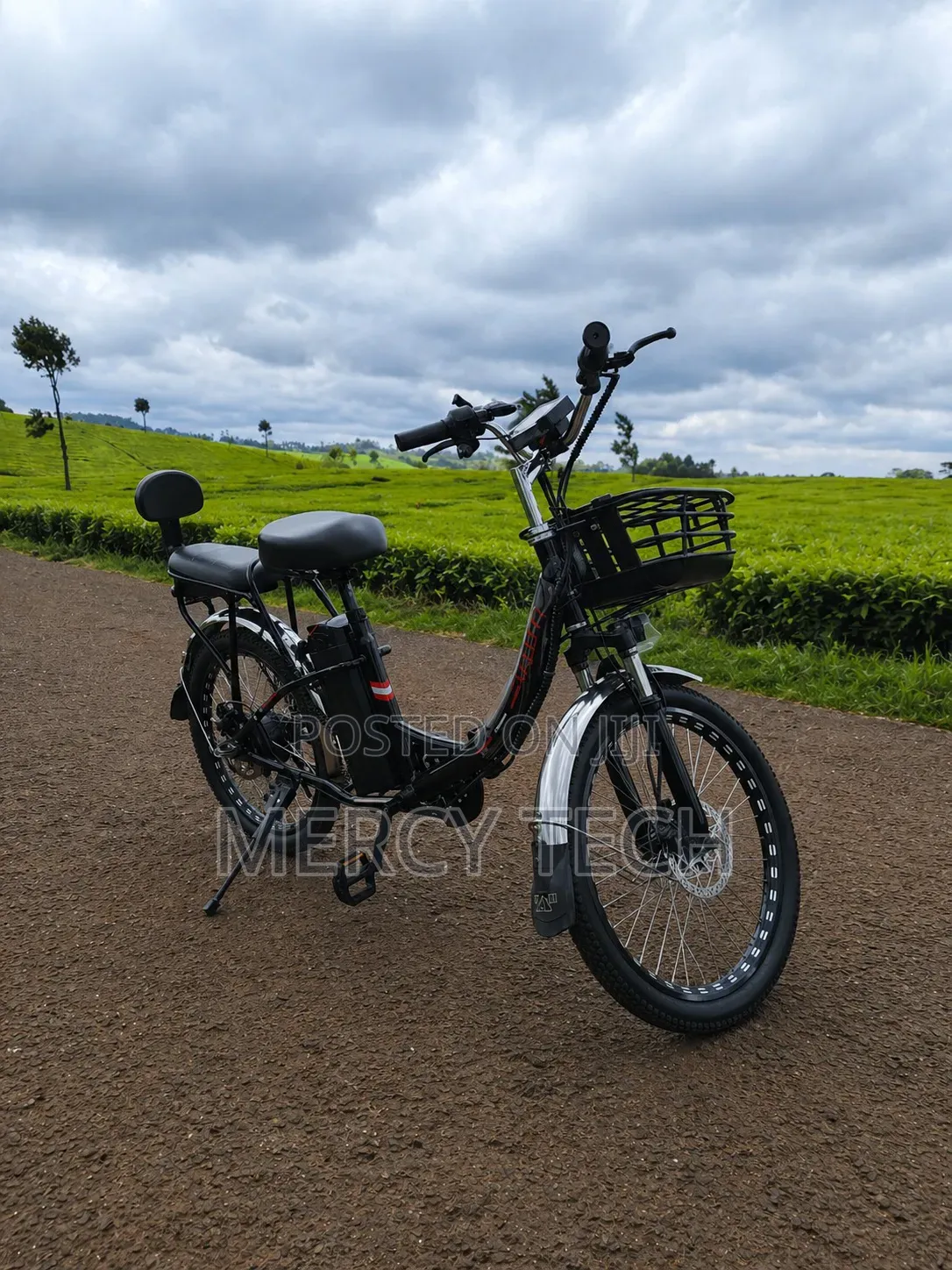 Family Cargo E-Bike