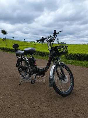Family Cargo E-Bike