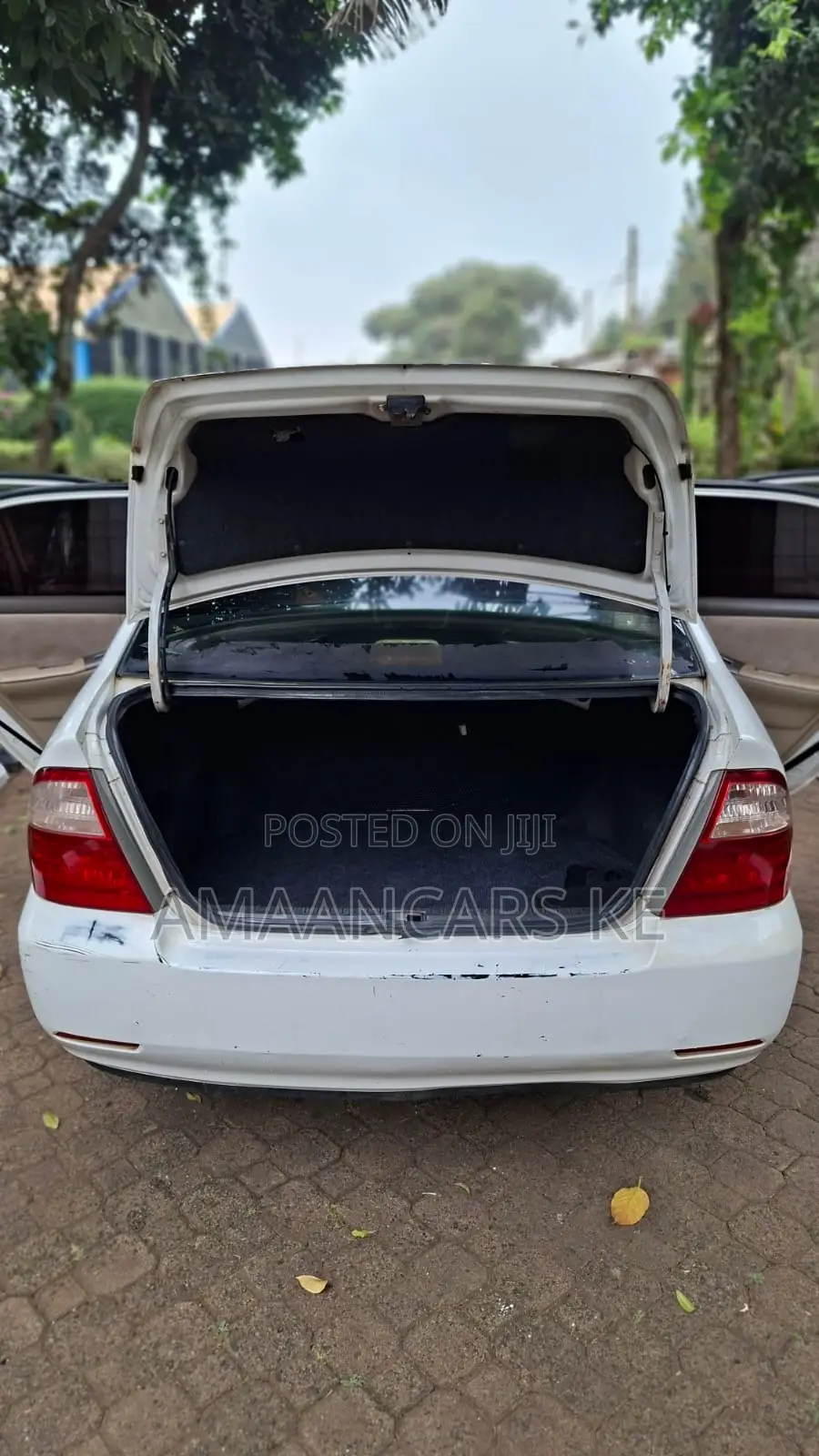 Toyota Corolla 2004 White