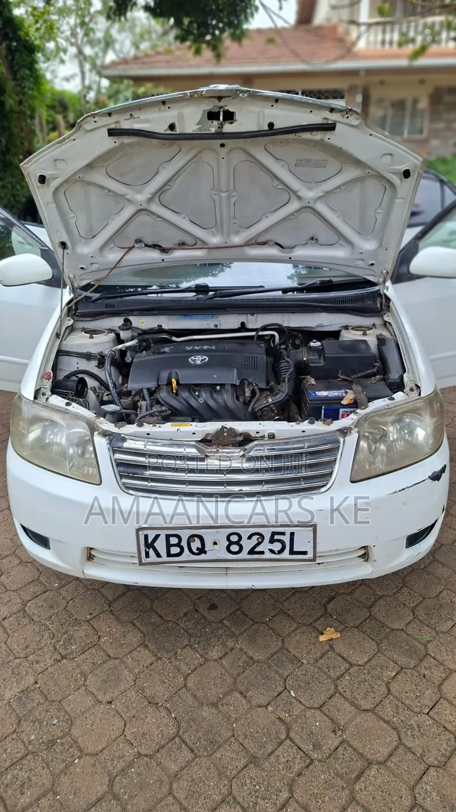Toyota Corolla 2004 White