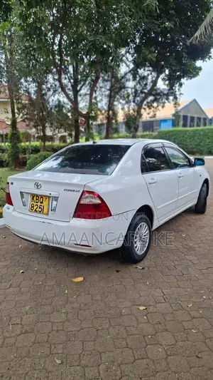 Toyota Corolla 2004 White