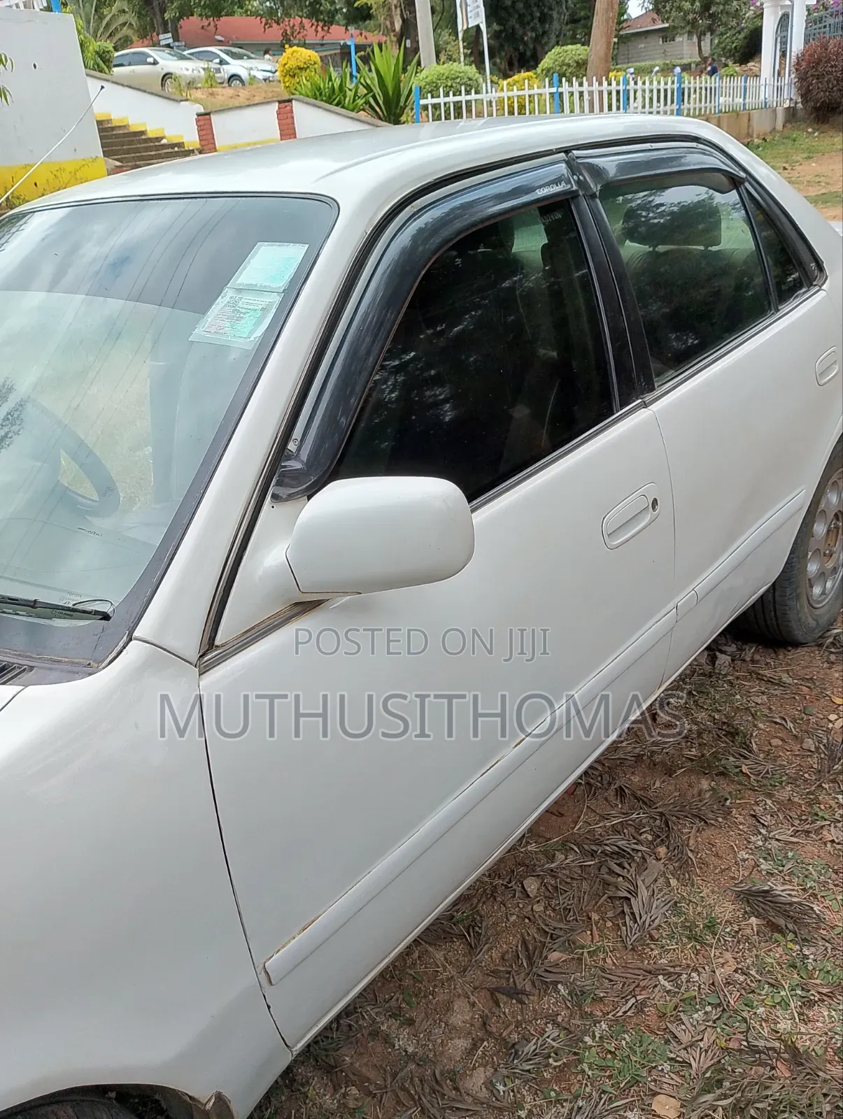 Toyota Corolla 1999 White