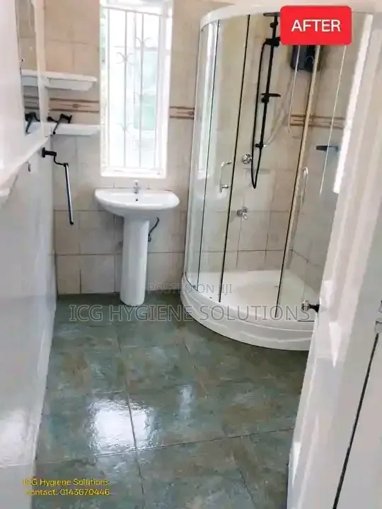 Shower Deep Cleaning