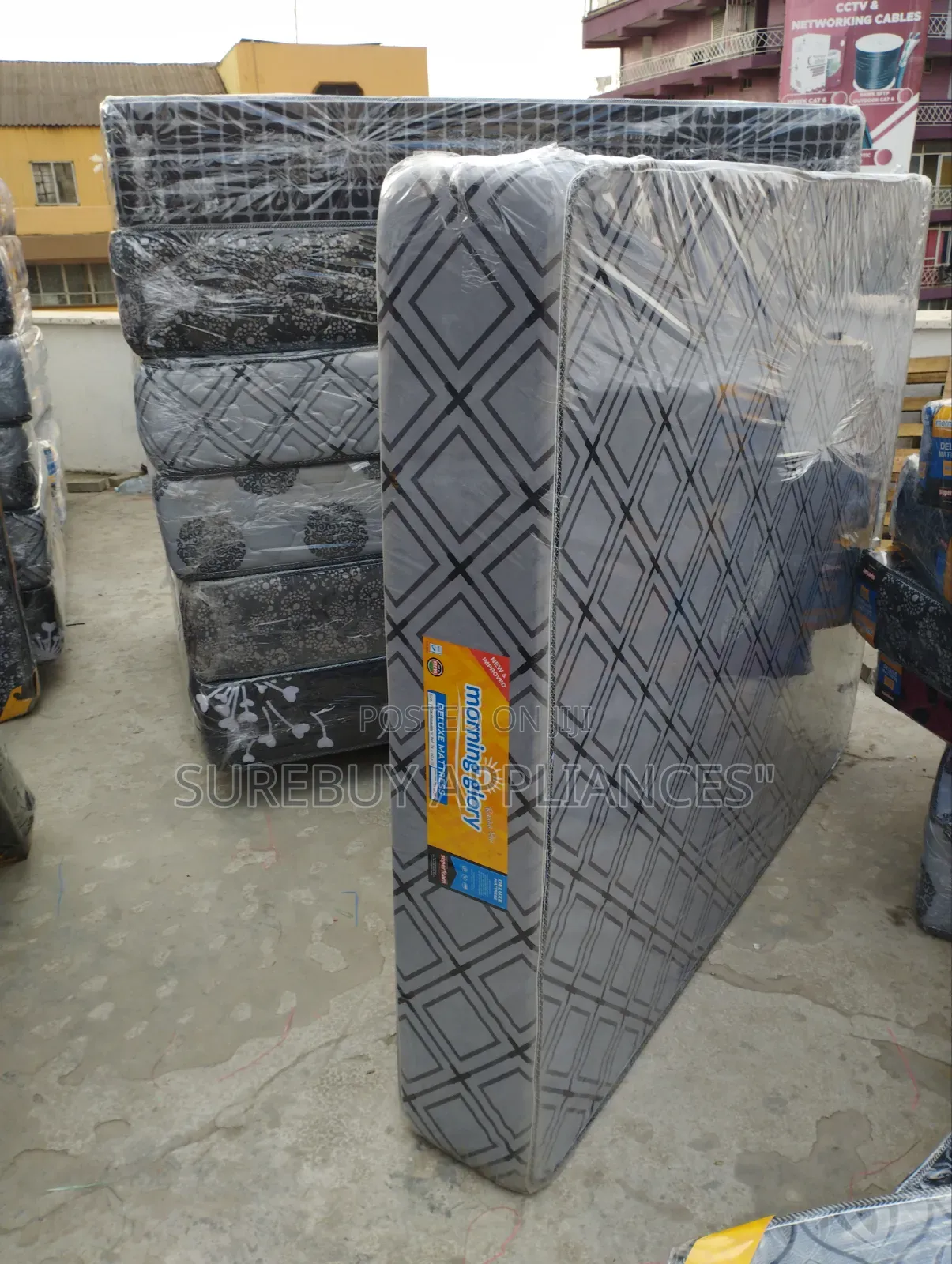 10-Inch Morning Glory, 5×6 Plain Mattress