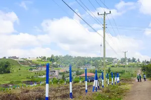 Kibiku Ngong Plots for Sale^mw