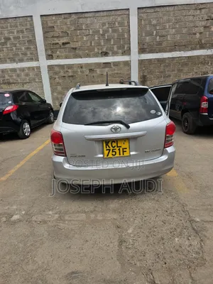 Toyota Corolla Fielder 2010 Silver