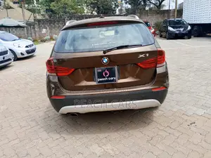 BMW X1 2010 Brown