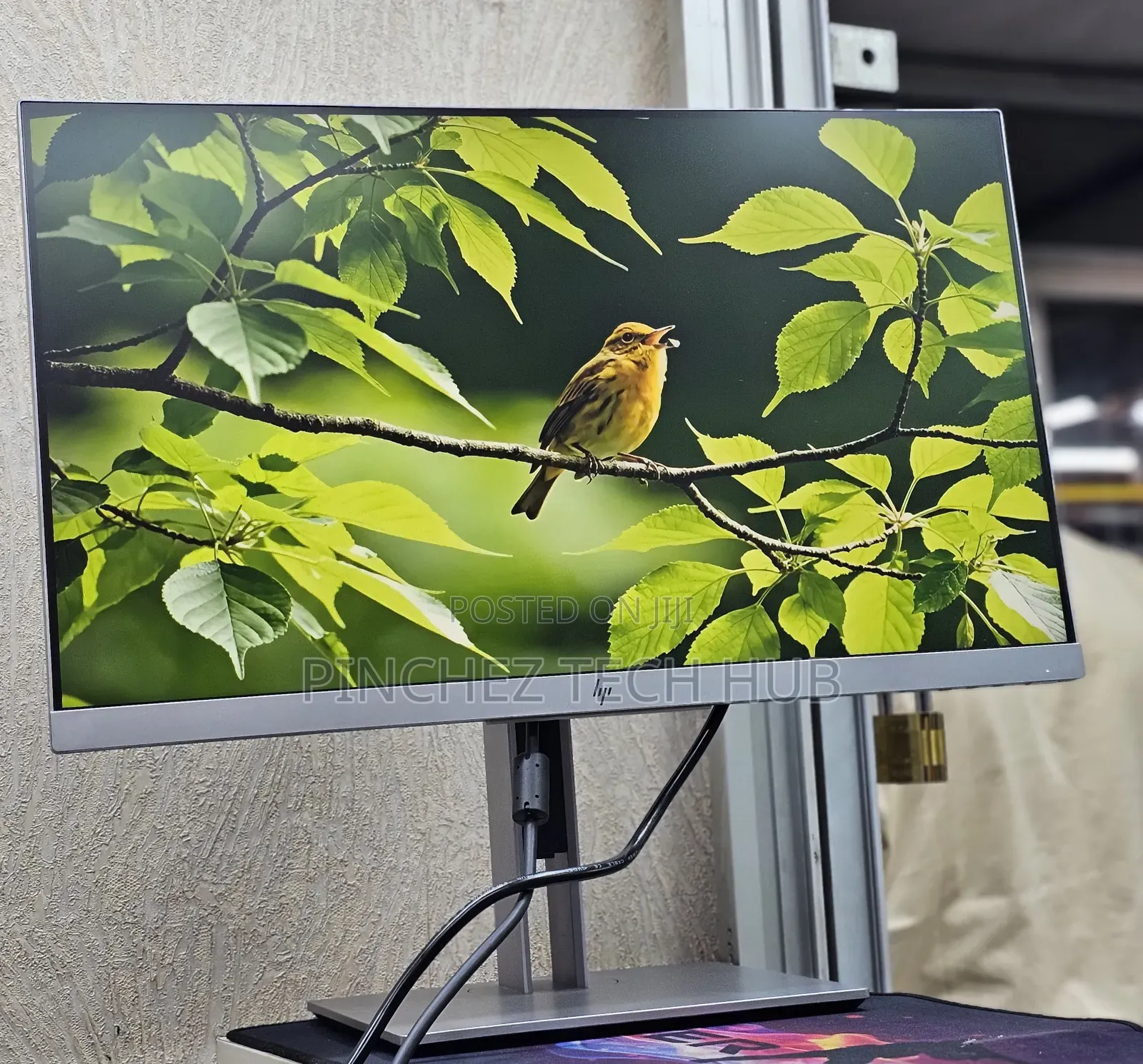 HP E233 Monitor 
23 Inch Screen Size
1920 × 1080 FHD 