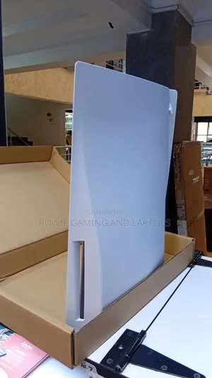 Ps5 Standard Casing Replacement