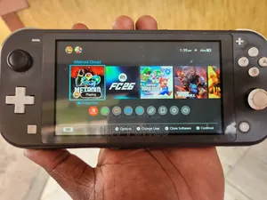 Modded Nintendo Switch Lite With 30 Games Installed for Sale
