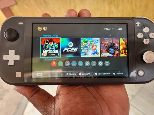 Modded Nintendo Switch Lite With 30 Games Installed for Sale - main view