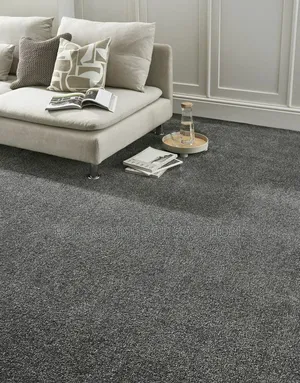 Durable Warm Wall to Wall Carpets .