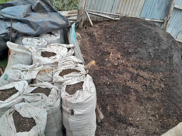 Chicken Manure. - thumbnail 3