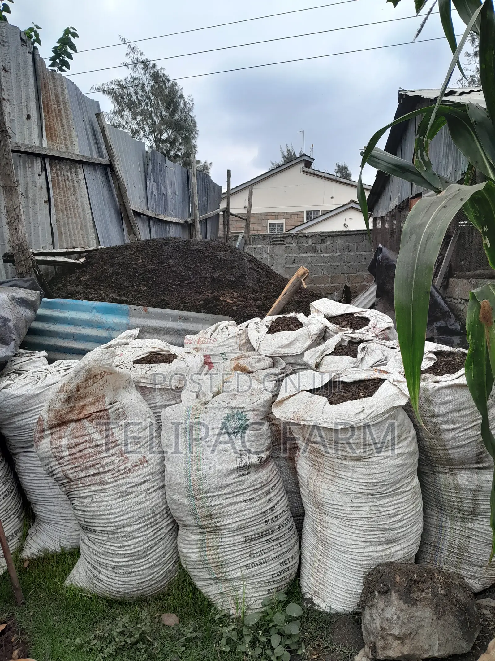 Chicken Manure.