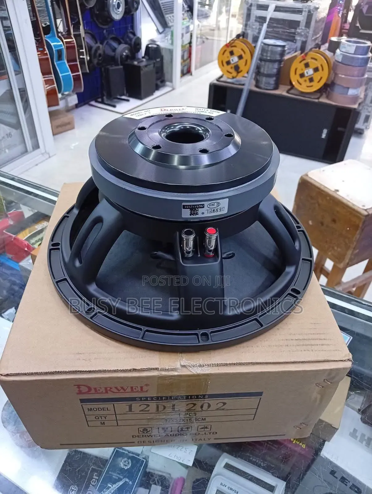 Derwel 12DL202 12-Inch Professional Loudspeaker