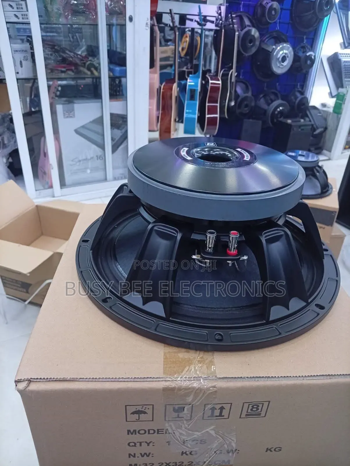 Derwel 12DL202 12-Inch Professional Loudspeaker