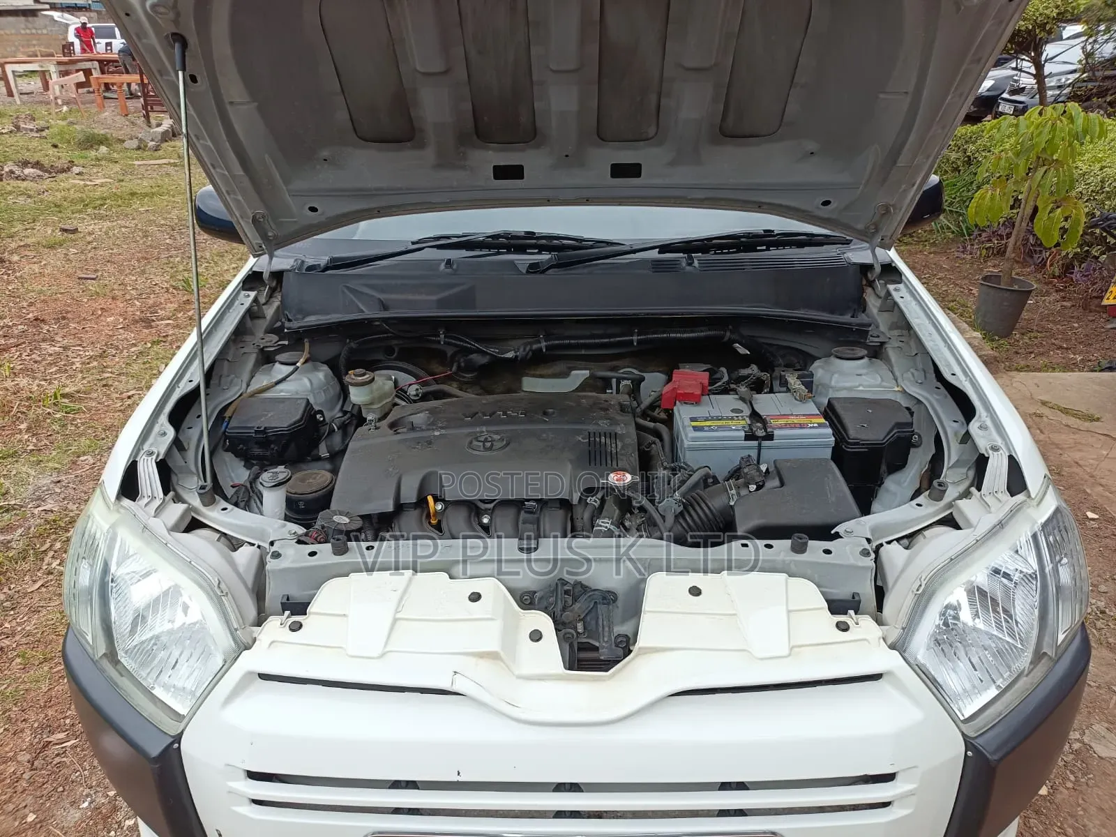 Toyota Succeed 2019 White
