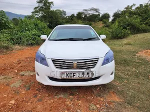 Toyota Premio 2010 White