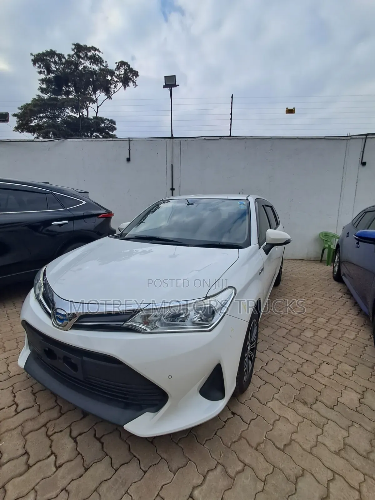 Toyota Corolla Fielder 2019 White