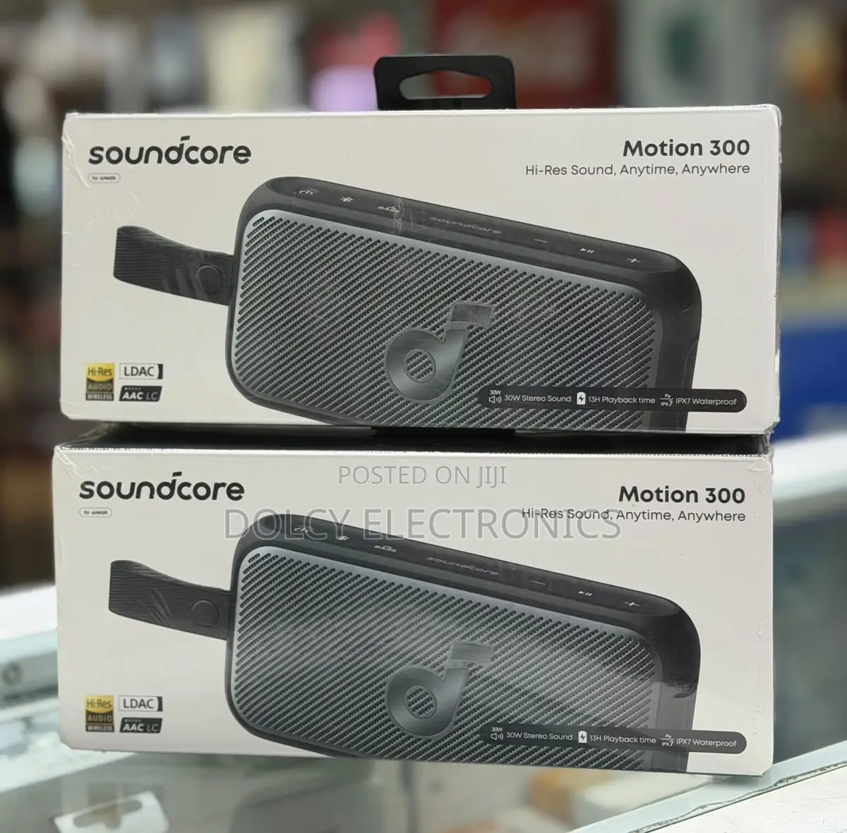 Soundcore Motion 300