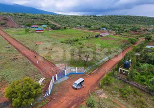 Ngong Kimuka Plots ^MW