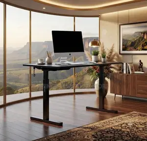 Office Desk; 1.2 Meters Balance Between Adjustable Desk