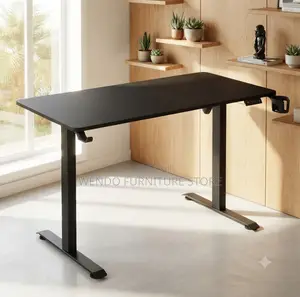 Office Desk; 1.2 Meters Balance Between Adjustable Desk