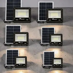 Smart Lighting 60W 100W 200W Solar Flood Light Wholesale