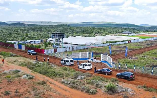 Kimuka Prime Plots With Ready Titles^MW - main view