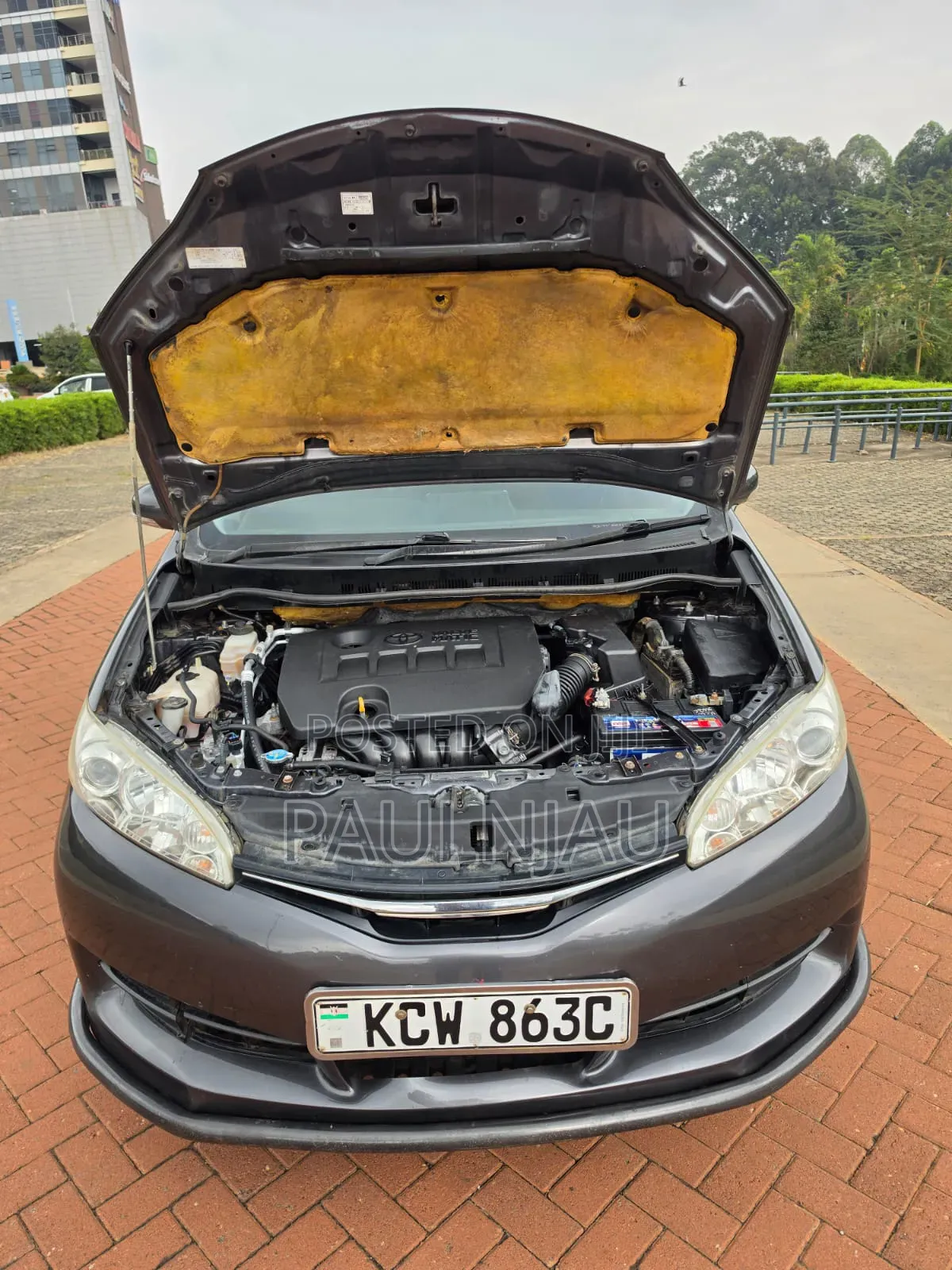 Toyota Wish 2013