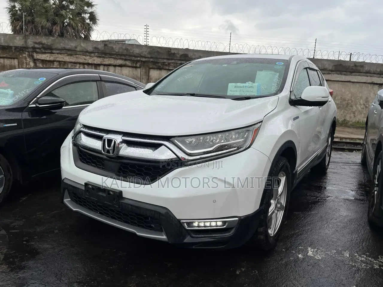 Honda CR-V EX AWD 2019 Pearl