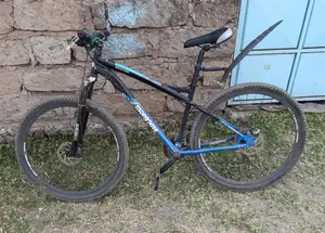 Ex Uk Mountain Bike, Size 29