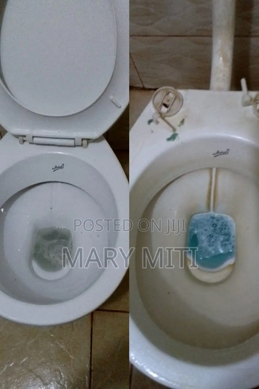 Toilet Cleaning