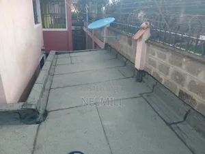 Roofing and Waterproofing