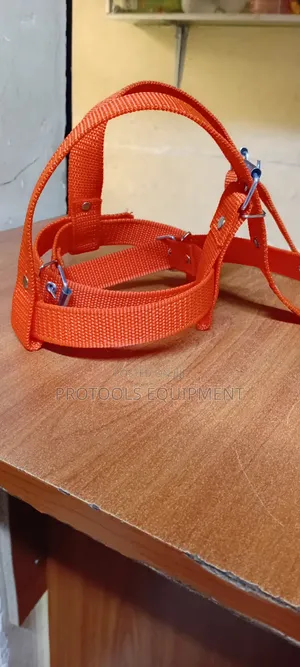 Orange Climber Strap