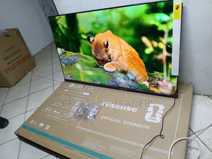 Hisense 55 Inch QLED Smart Google TV