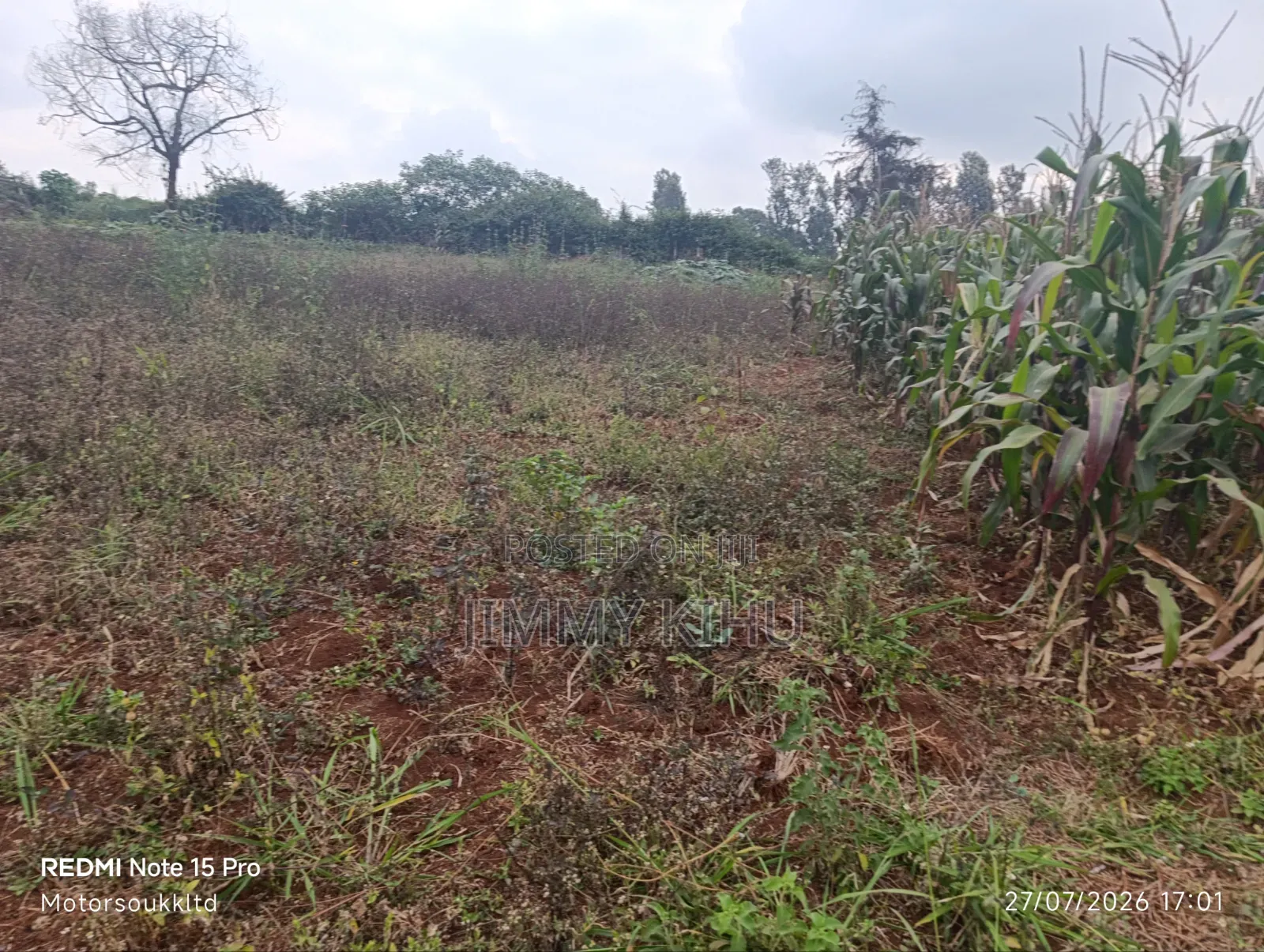 Kiukenda Plots on Sale.