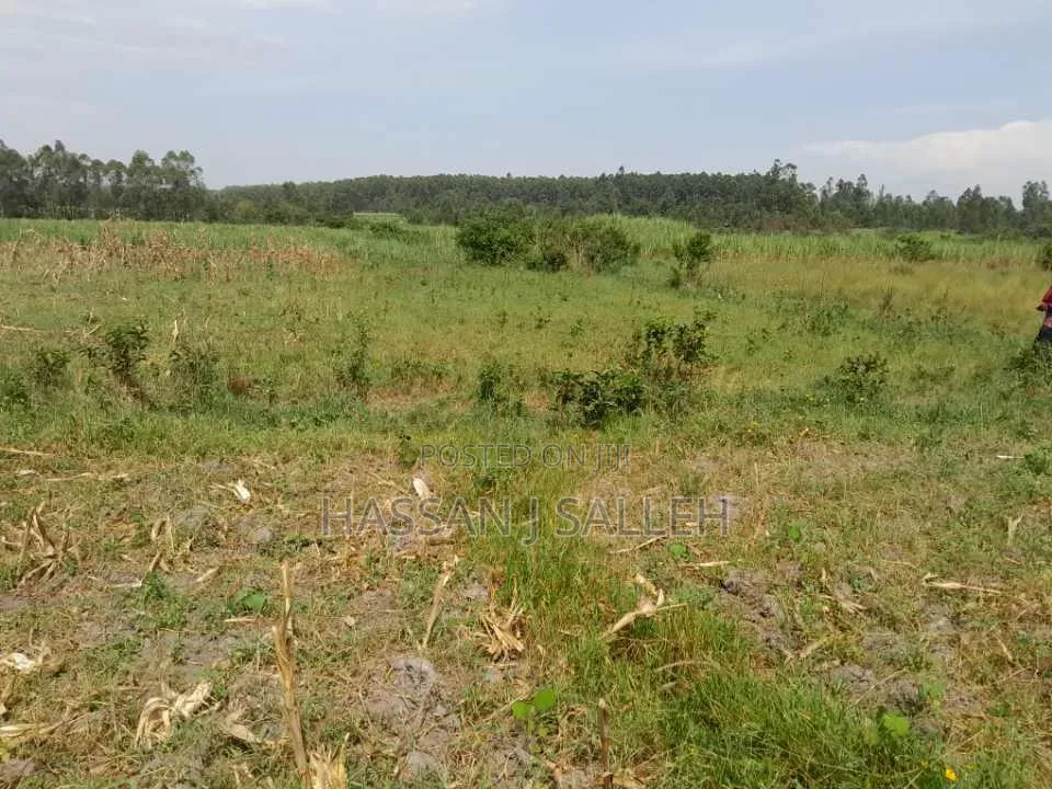 3a Land for Sale Matungu