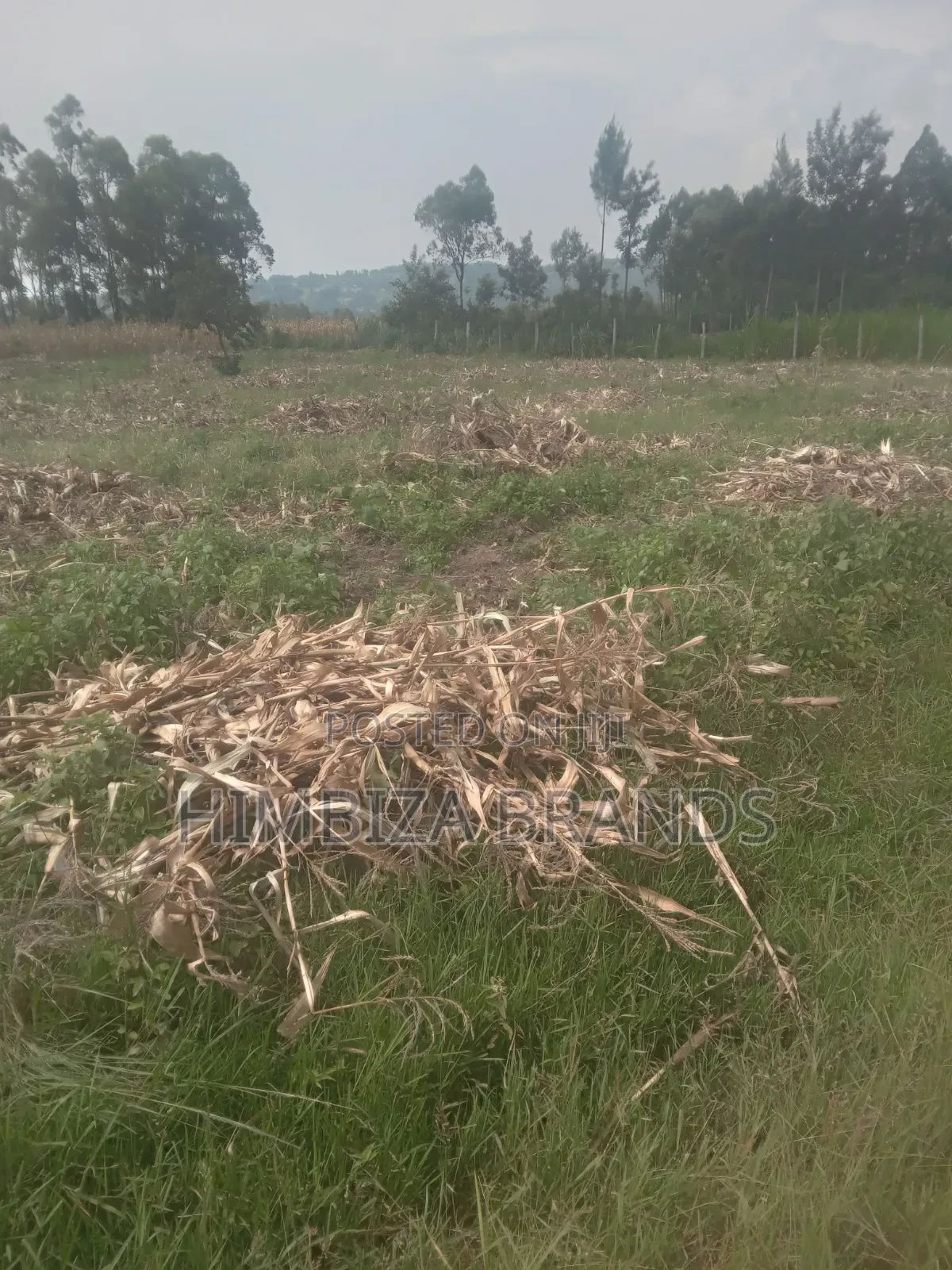 1/4 an Acre Piece of Land in Malaha, Webuye